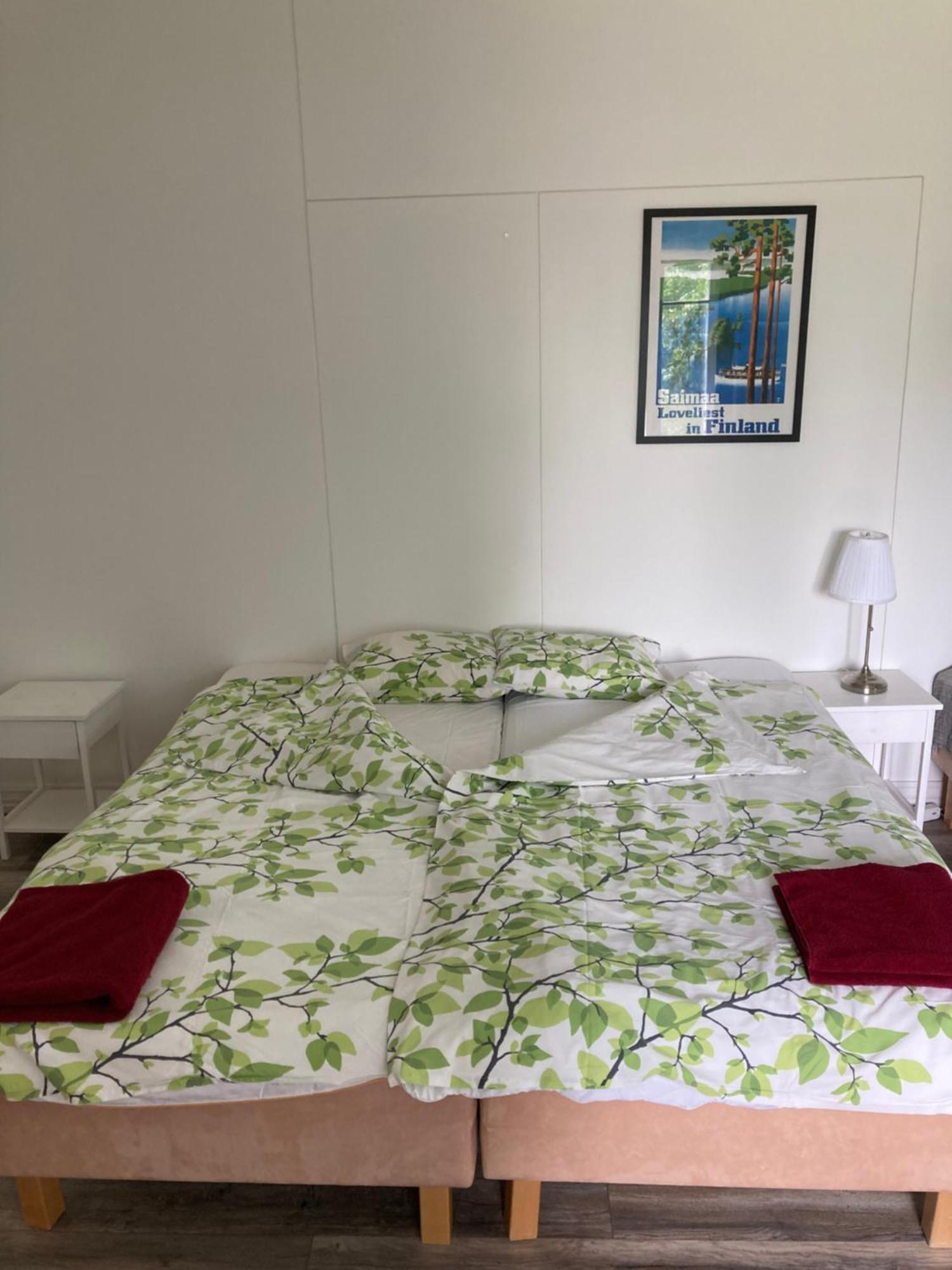 Villa Saimaan Sydaen Puumala Buitenkant foto